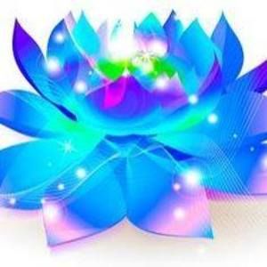 Meet your Posher, Jane